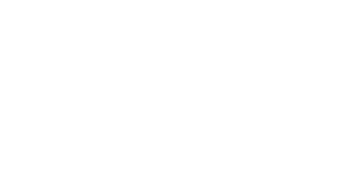 KINDERLAND-Sachsen e.V.